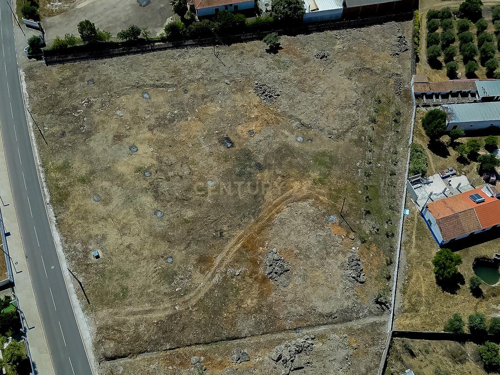 Terreno à Venda em Cano, Sousel, Portalegre - Image 9