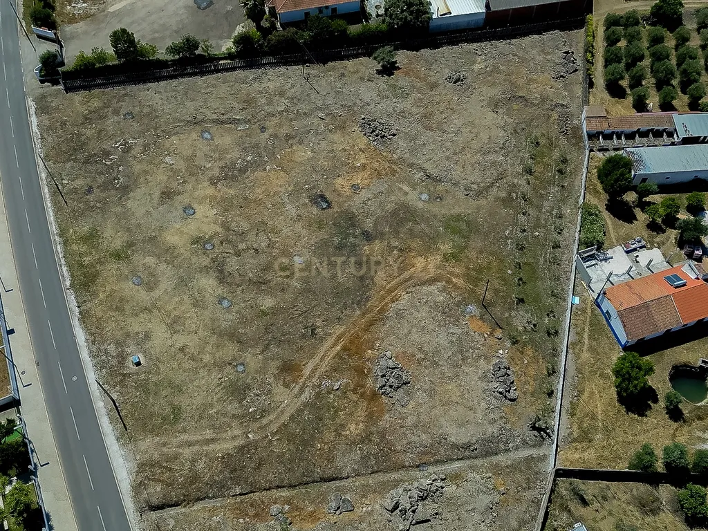 Terreno à Venda em Cano, Sousel, Portalegre - Image 9