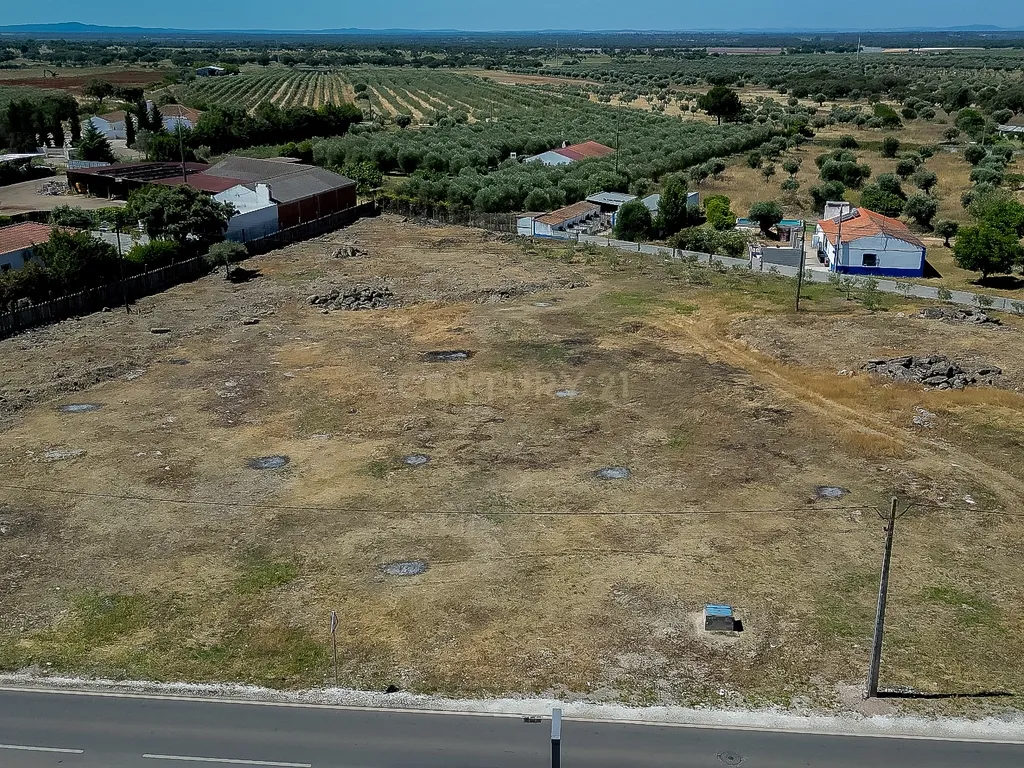 Terreno à Venda em Cano, Sousel, Portalegre - Image 10