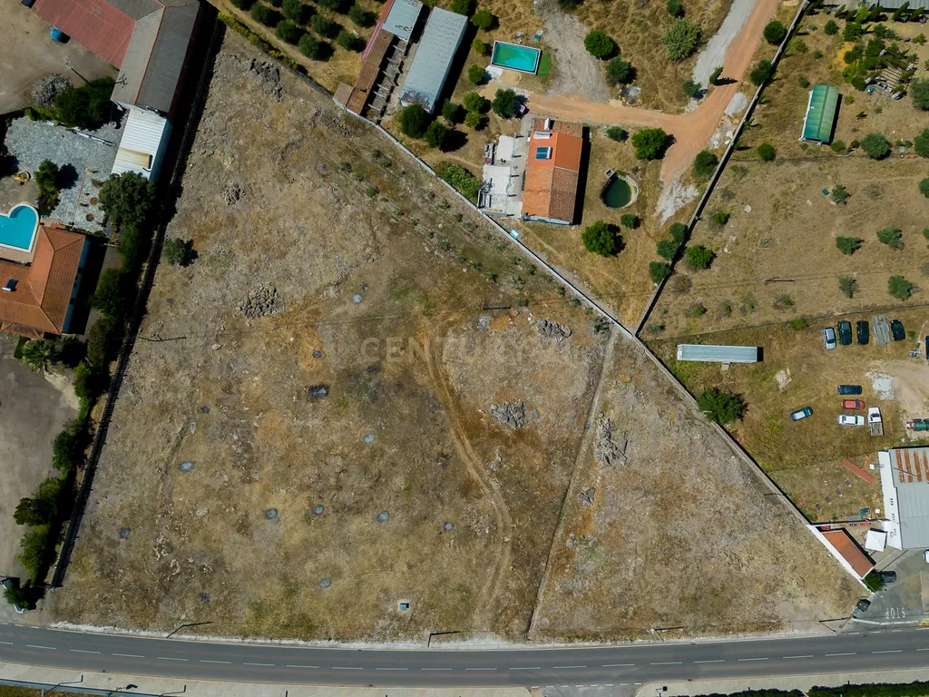 Terreno à Venda em Cano, Sousel, Portalegre - Image 3