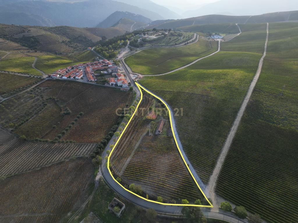Quinta com 10,000m2 albergando uma Moradia e Armazém em São João da Pesqueira - Image 1