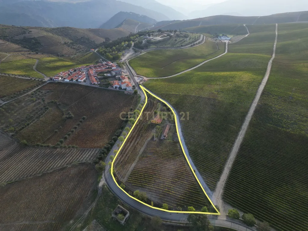 Quinta com 10,000m2 albergando uma Moradia e Armazém em São João da Pesqueira - Image 1
