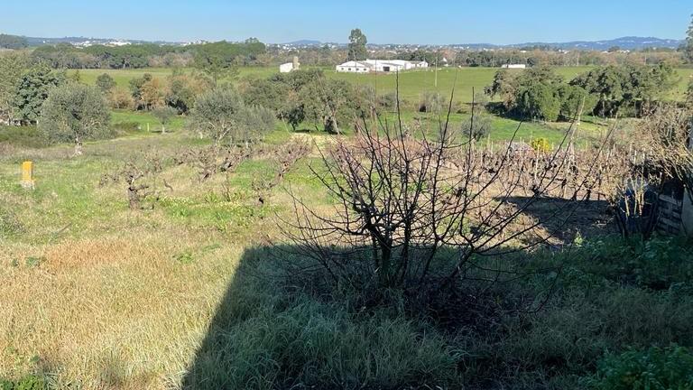 Terreno para construção com projeto aprovado em lote 1894m2  - Tomar - Image 10