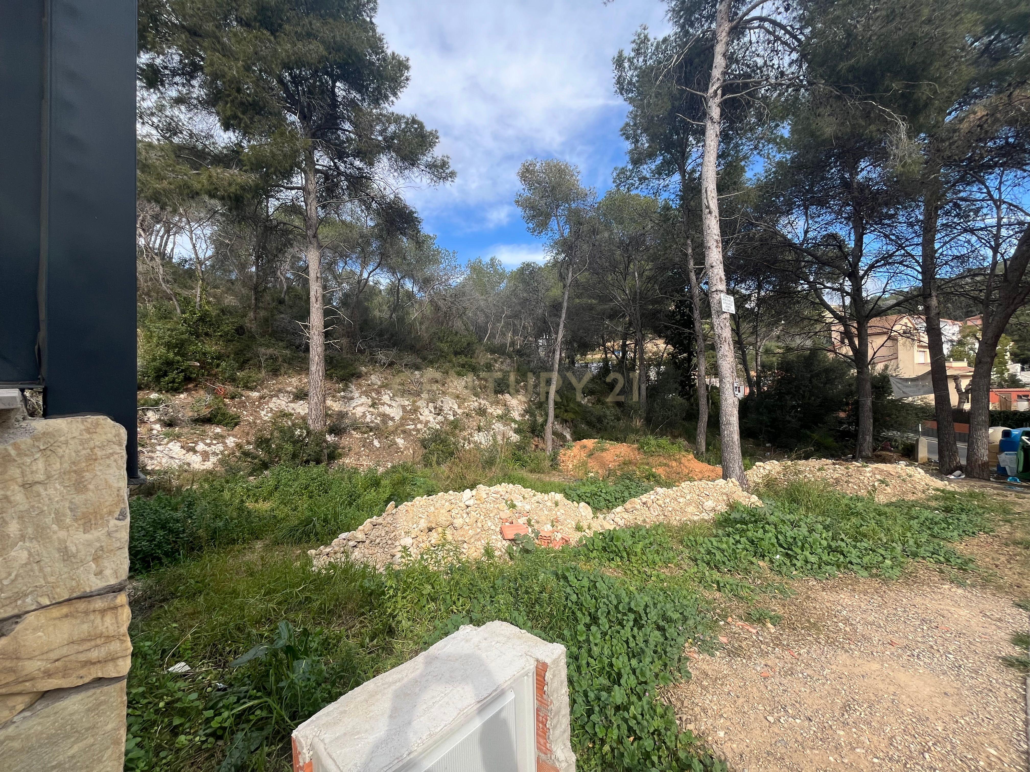 undefined - Image 7