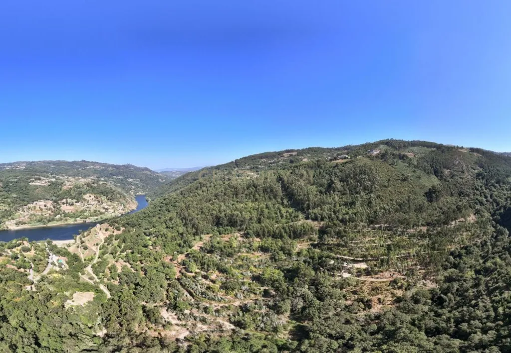 Quinta Exclusiva, rodeada de natureza e com vistas fantásticas sobre o Rio Douro - Image 31