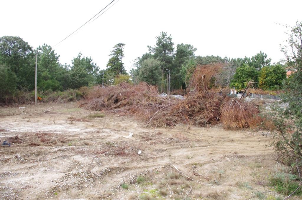 Excelente terreno para construção - Image 5