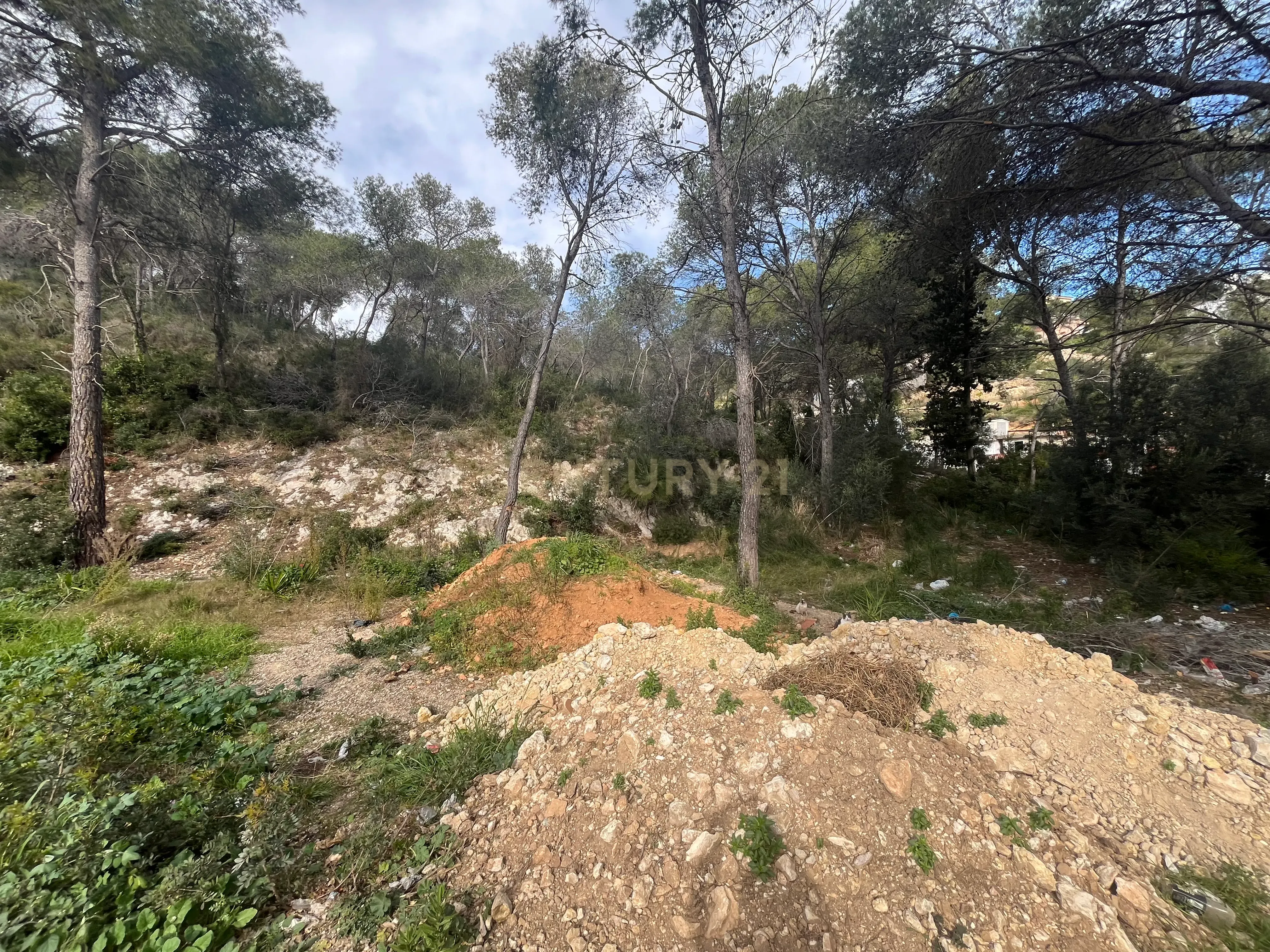 undefined - Image 11