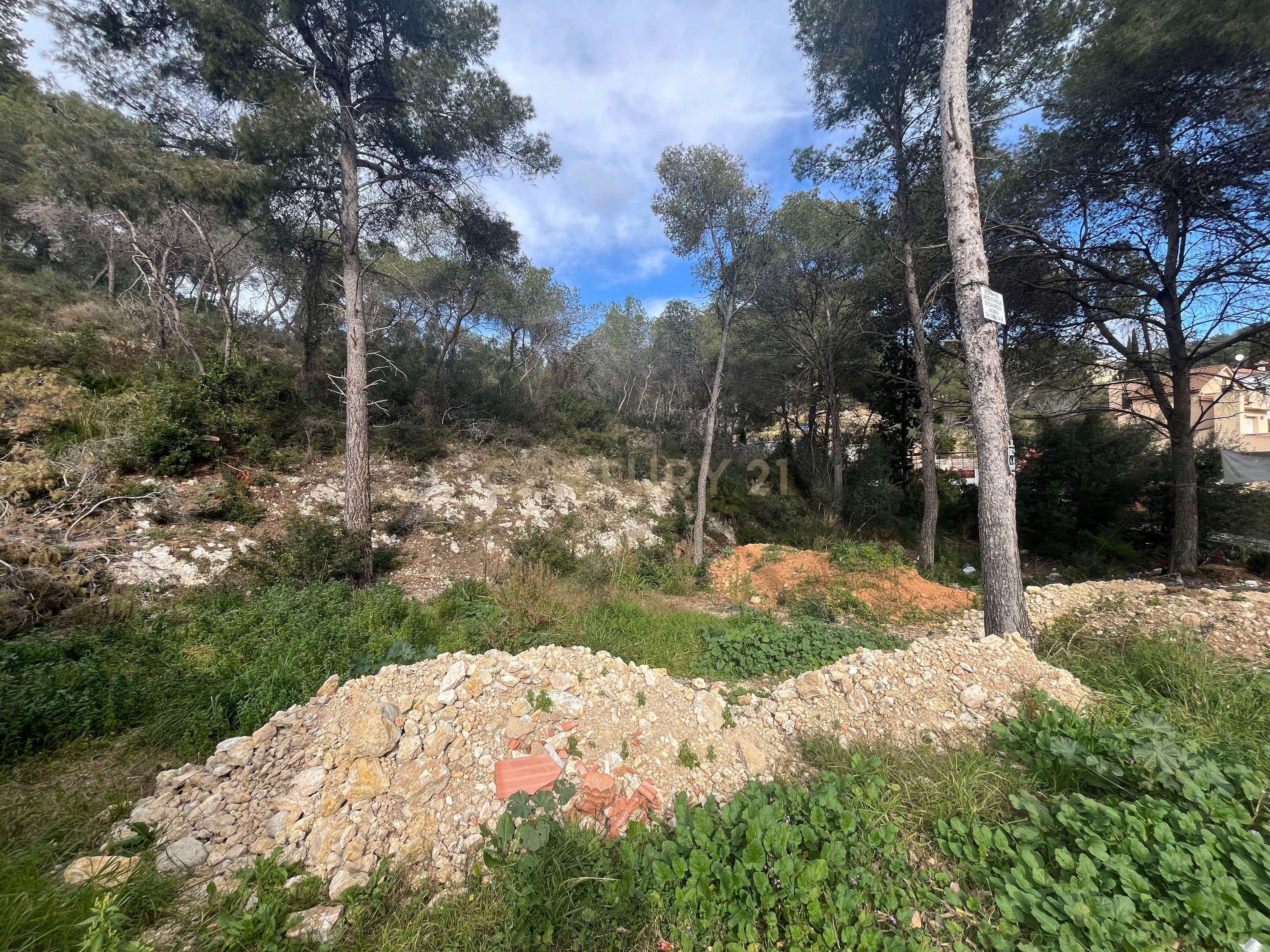 undefined - Image 9