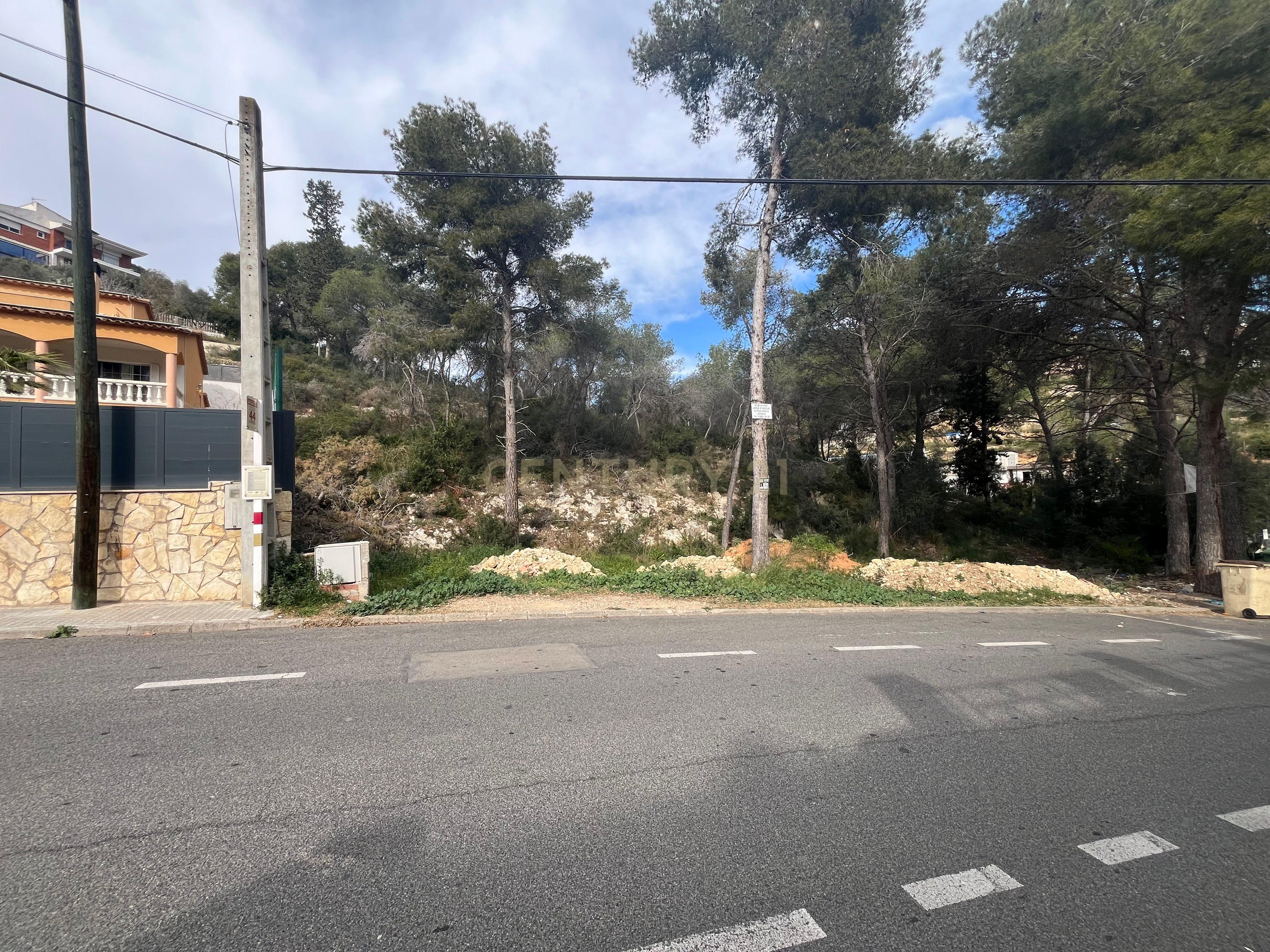 undefined - Image 4