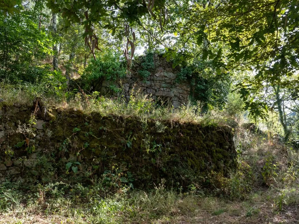 Quinta Exclusiva, rodeada de natureza e com vistas fantásticas sobre o Rio Douro - Image 17