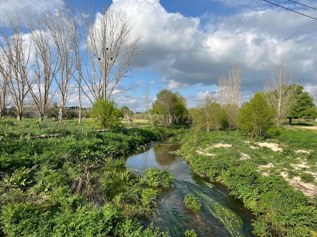 Terreno Urbano em Valverde, a 10 minutos do centro histórico de Évora. - Image 11
