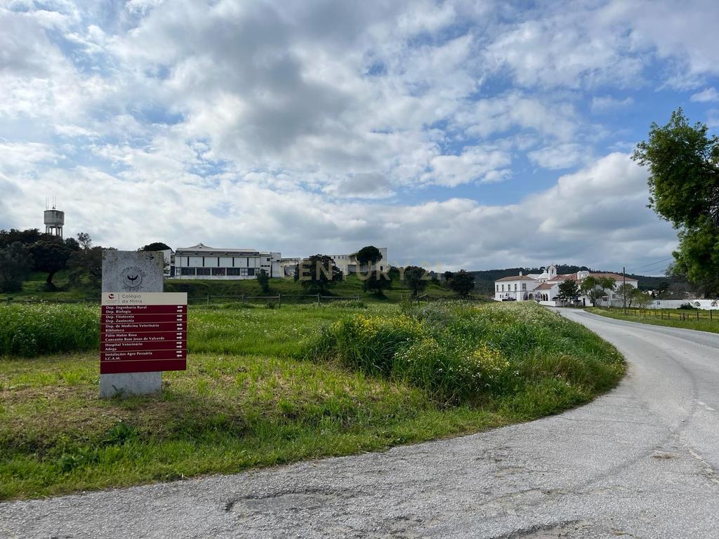 Terreno Urbano em Valverde, a 10 minutos do centro histórico de Évora. - Image 9