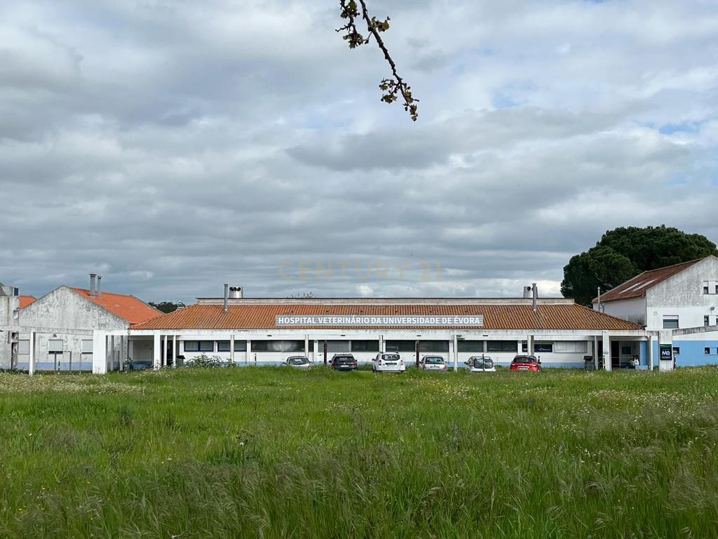 Terreno Urbano em Valverde, a 10 minutos do centro histórico de Évora. - Image 13