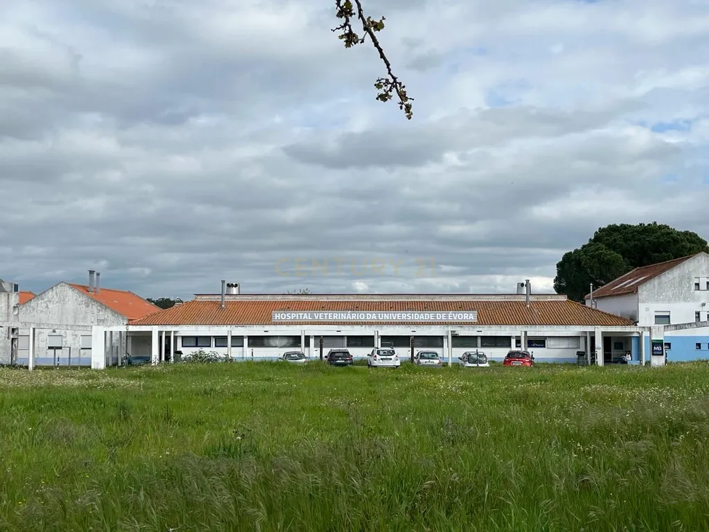 Terreno Urbano em Valverde, a 10 minutos do centro histórico de Évora. - Image 13