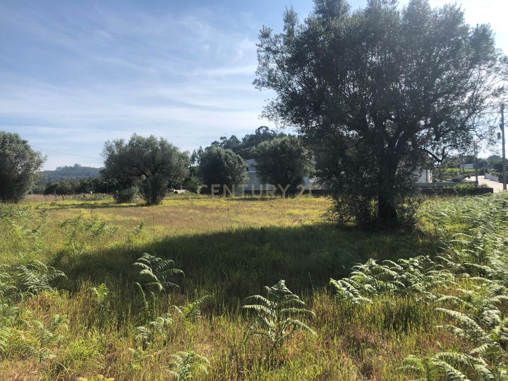 Lote de terreno de Construção com 872.5m2 Forjães-Esposende - Image 5