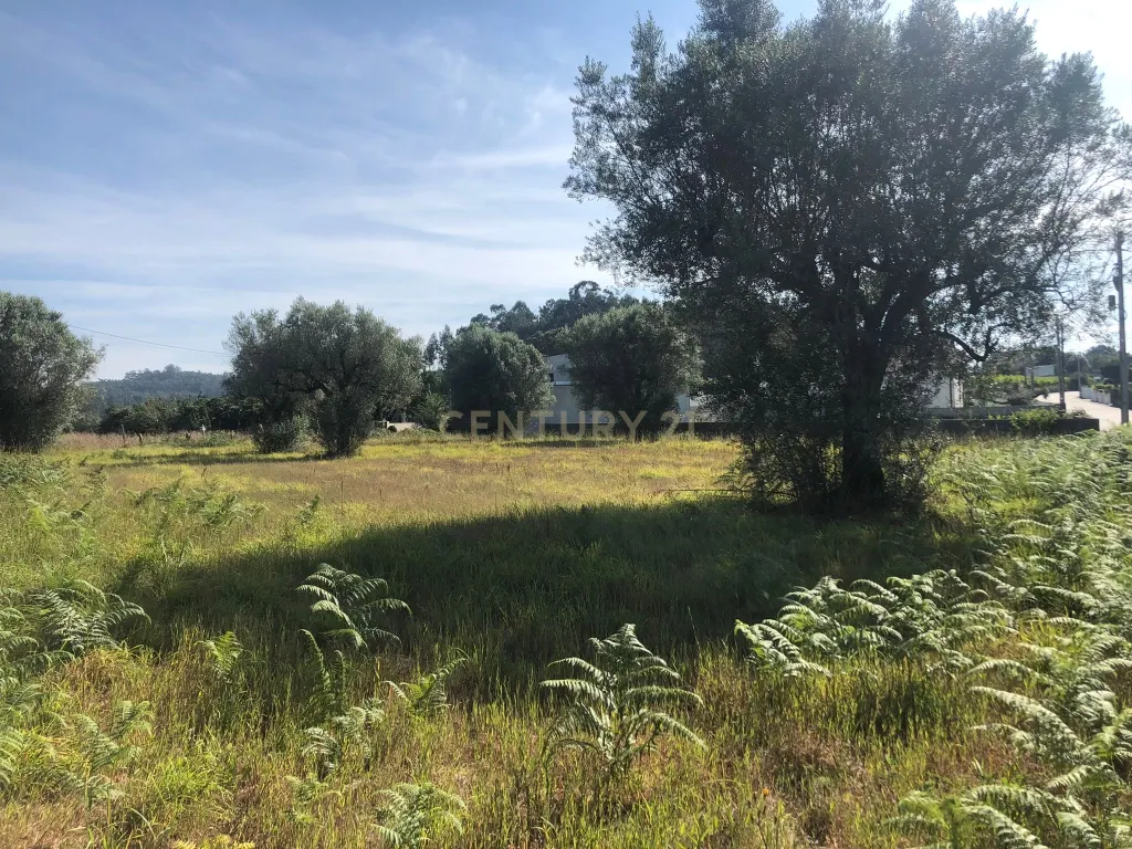 Lote de terreno de Construção com 872.5m2 Forjães-Esposende - Image 5