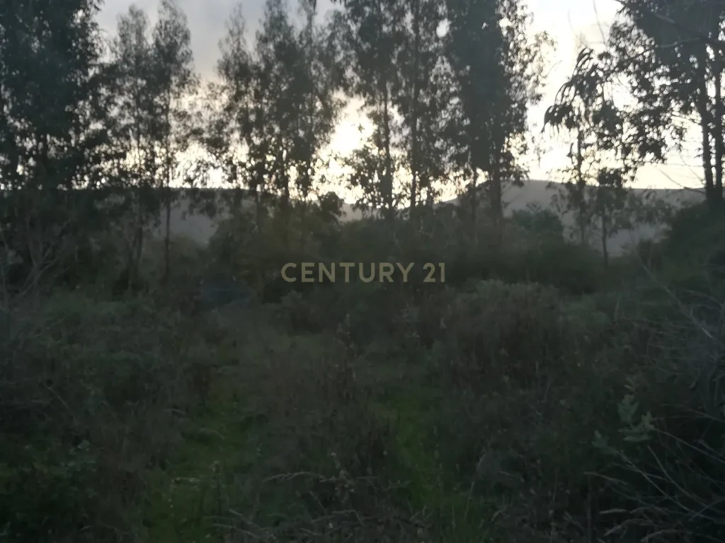 Terreno || Venda - Image 3