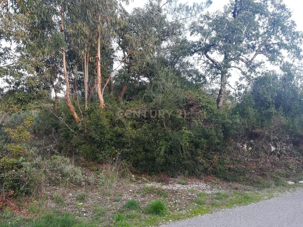 Terreno || Venda - Image 2