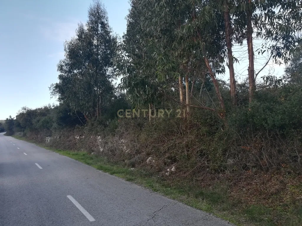 Terreno || Venda - Image 9