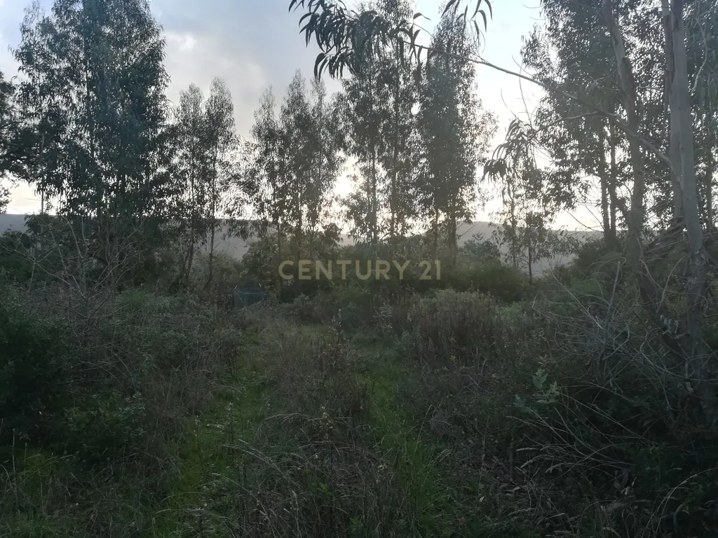 Terreno || Venda - Image 7
