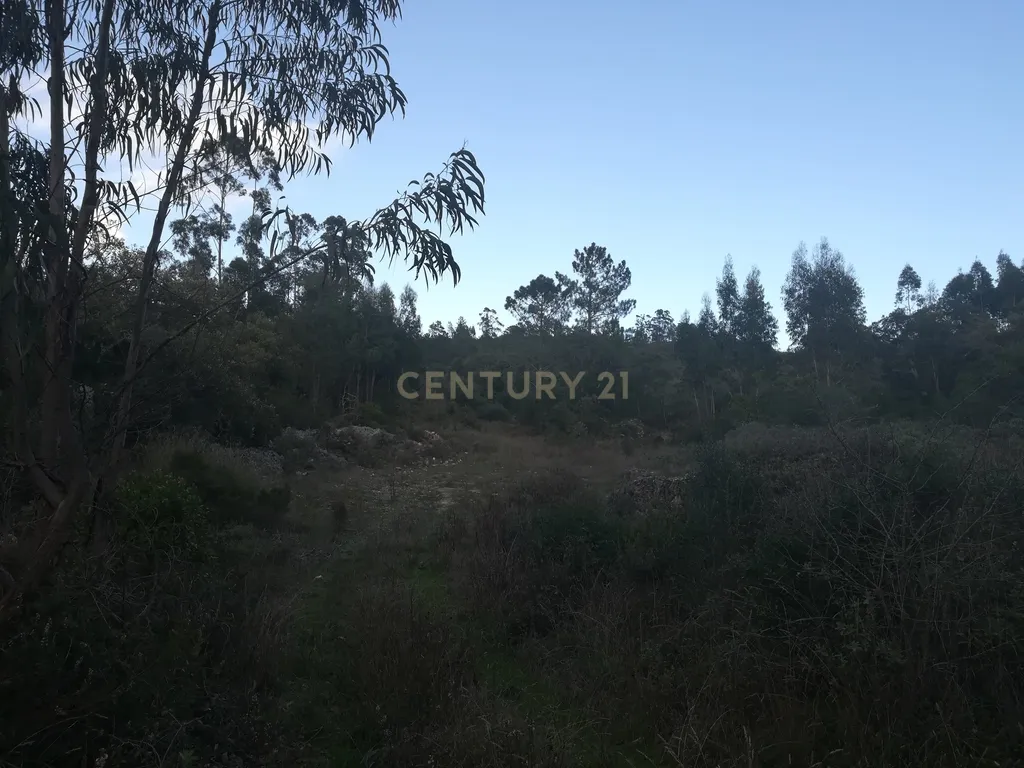 Terreno || Venda - Image 4