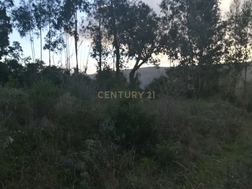 Terreno || Venda - Image 6