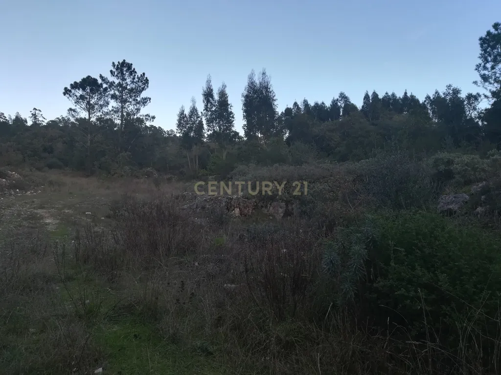 Terreno || Venda - Image 8