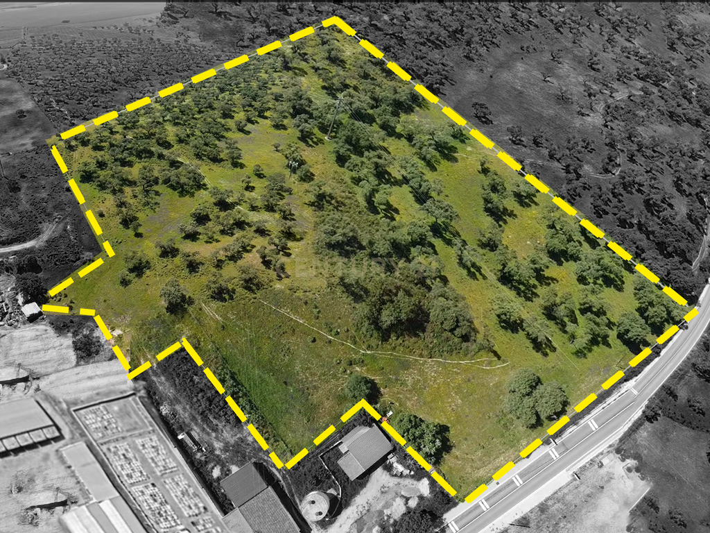 Terreno Urbano c/5 Hectares - Image 1