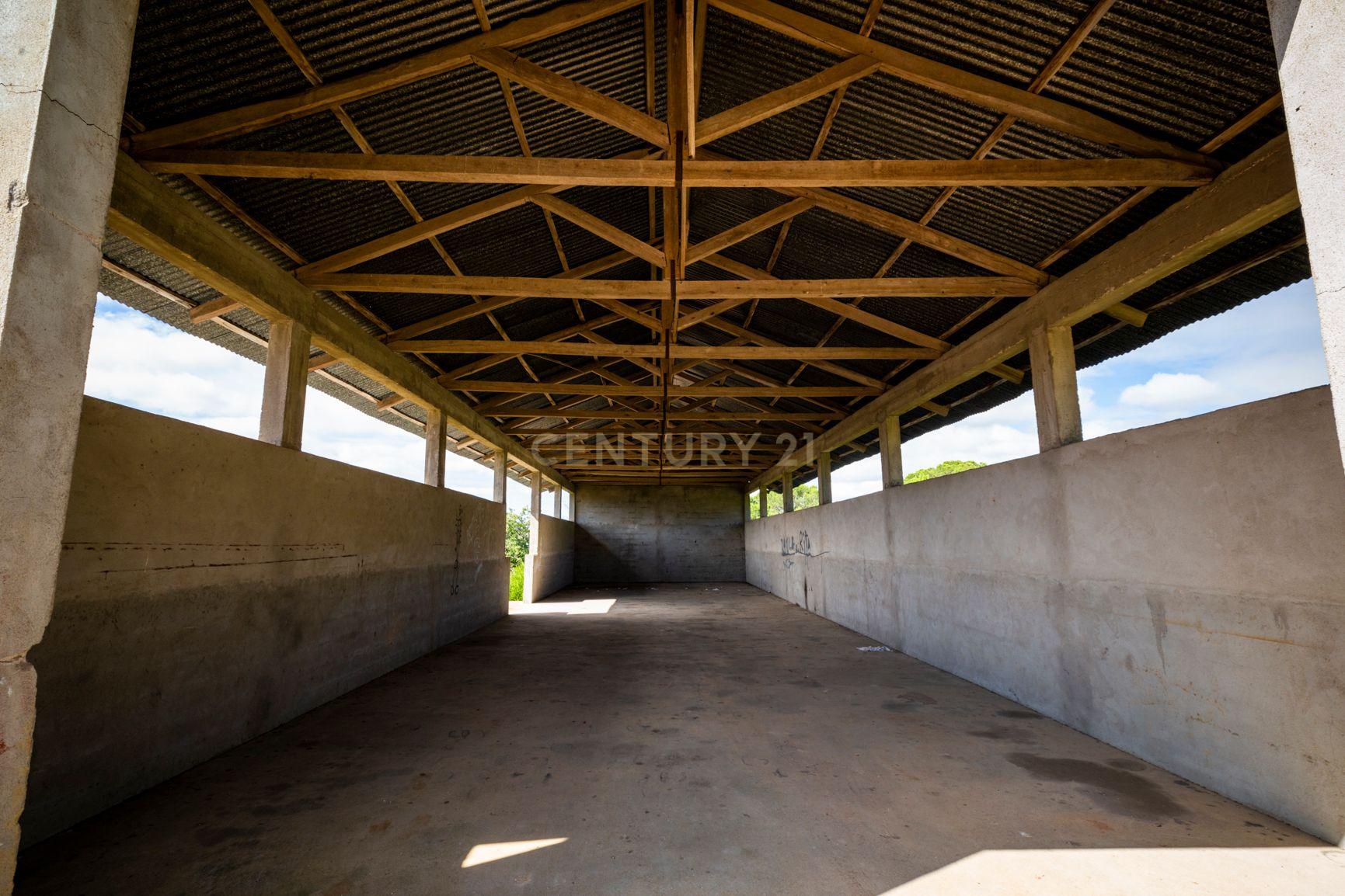 Quinta em Tomar - Image 3