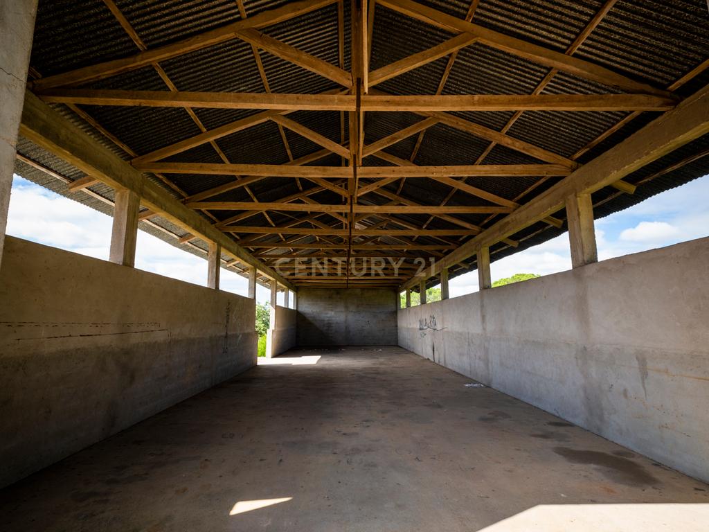 Quinta em Tomar - Image 3