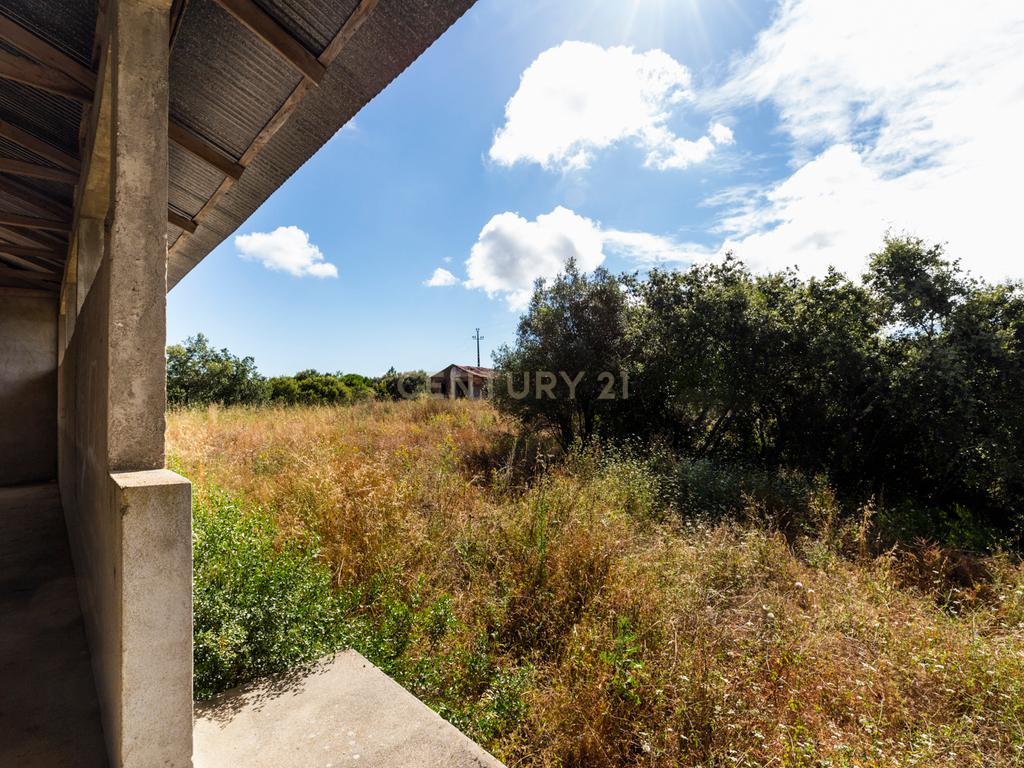 Quinta em Tomar - Image 12