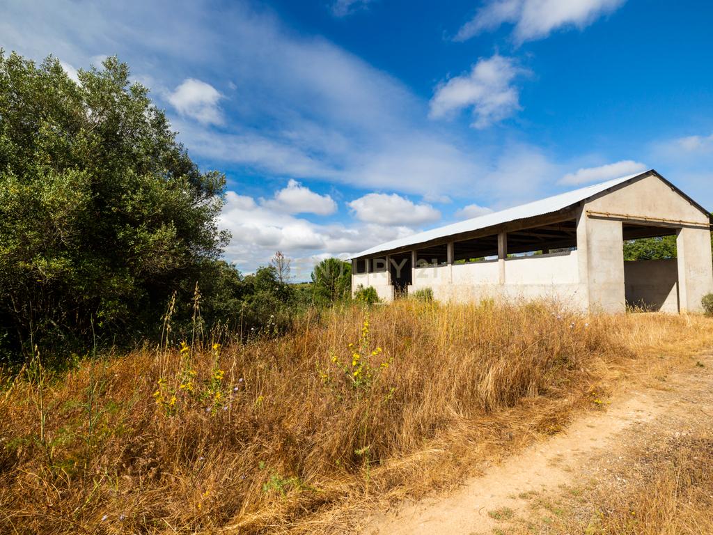 Quinta em Tomar - Image 10