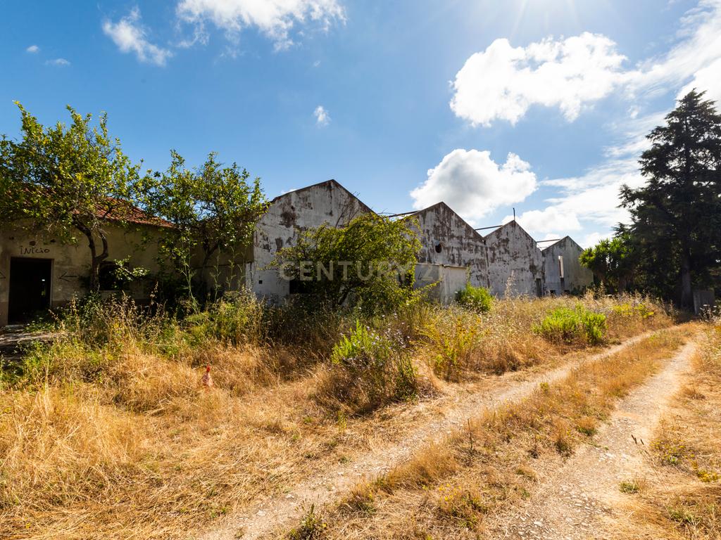 Quinta em Tomar - Image 17