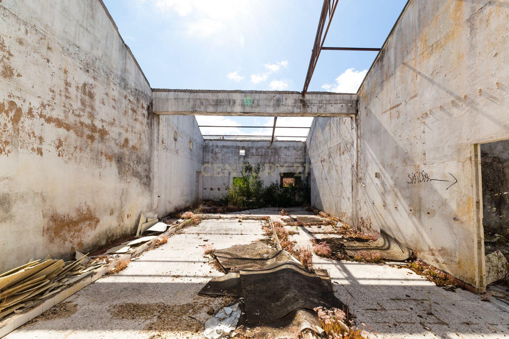 Quinta em Tomar - Image 18