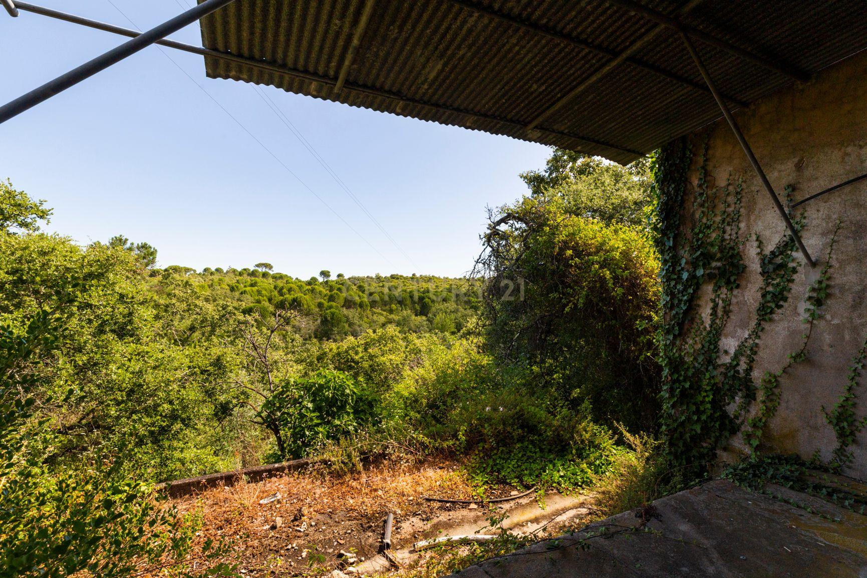 Quinta em Tomar - Image 19