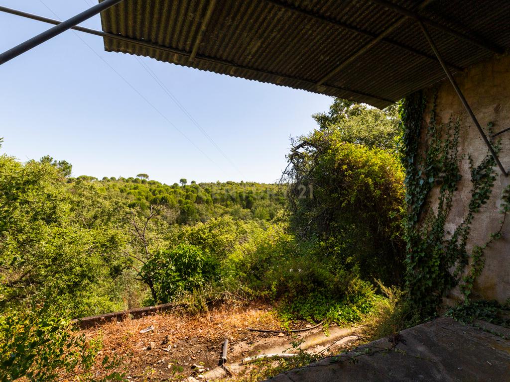 Quinta em Tomar - Image 19