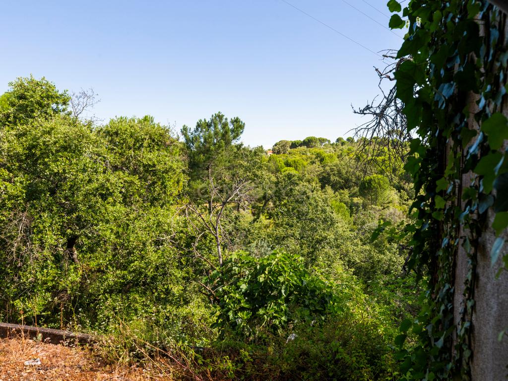 Quinta em Tomar - Image 22