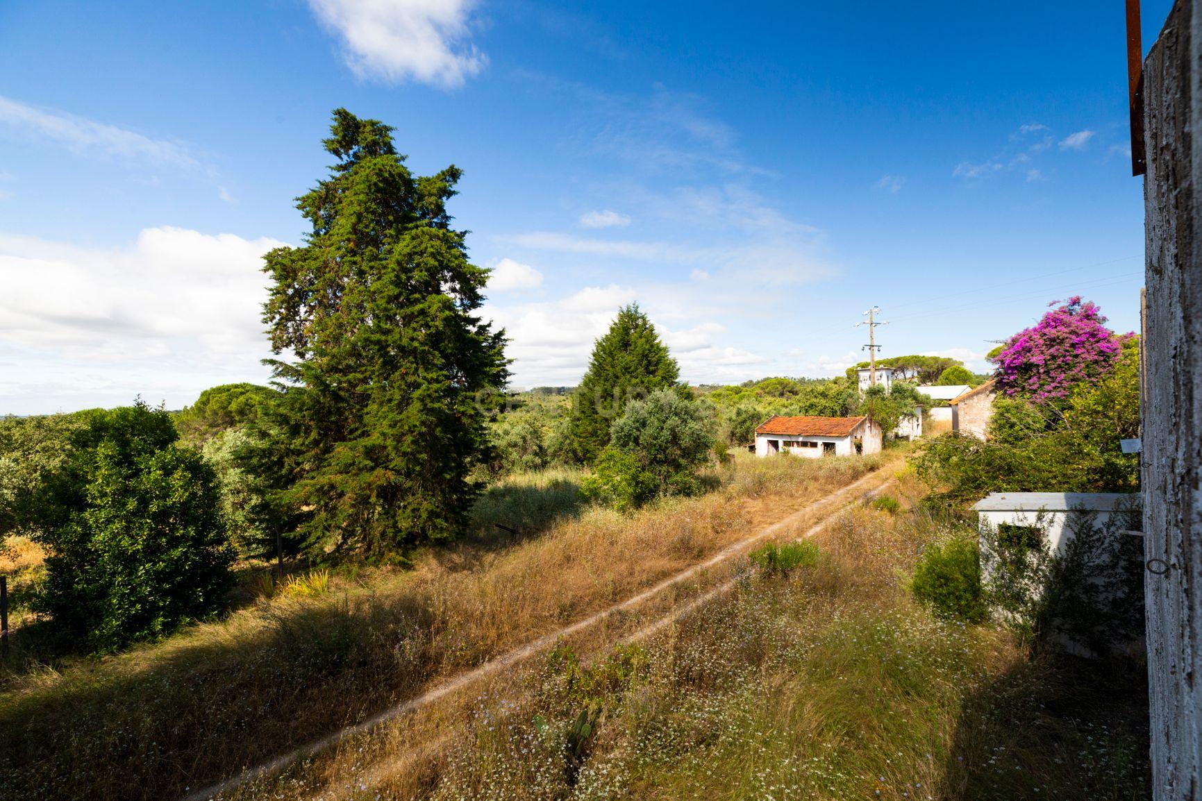 Quinta em Tomar - Image 6
