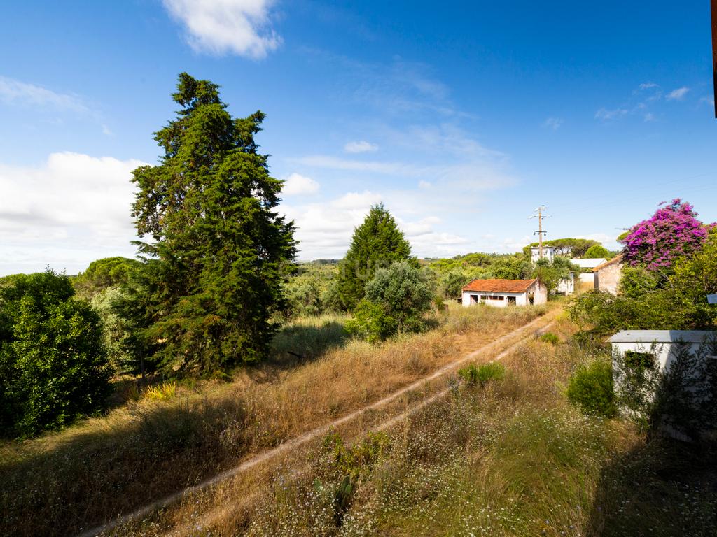 Quinta em Tomar - Image 6
