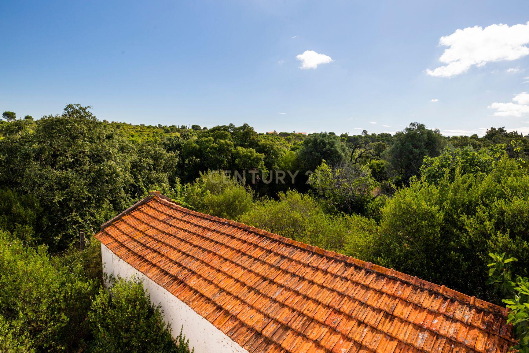 Quinta em Tomar - Image 21
