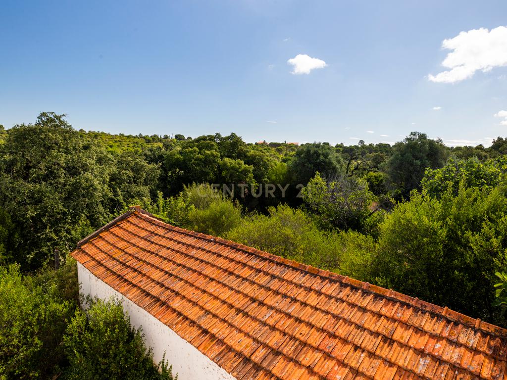 Quinta em Tomar - Image 21