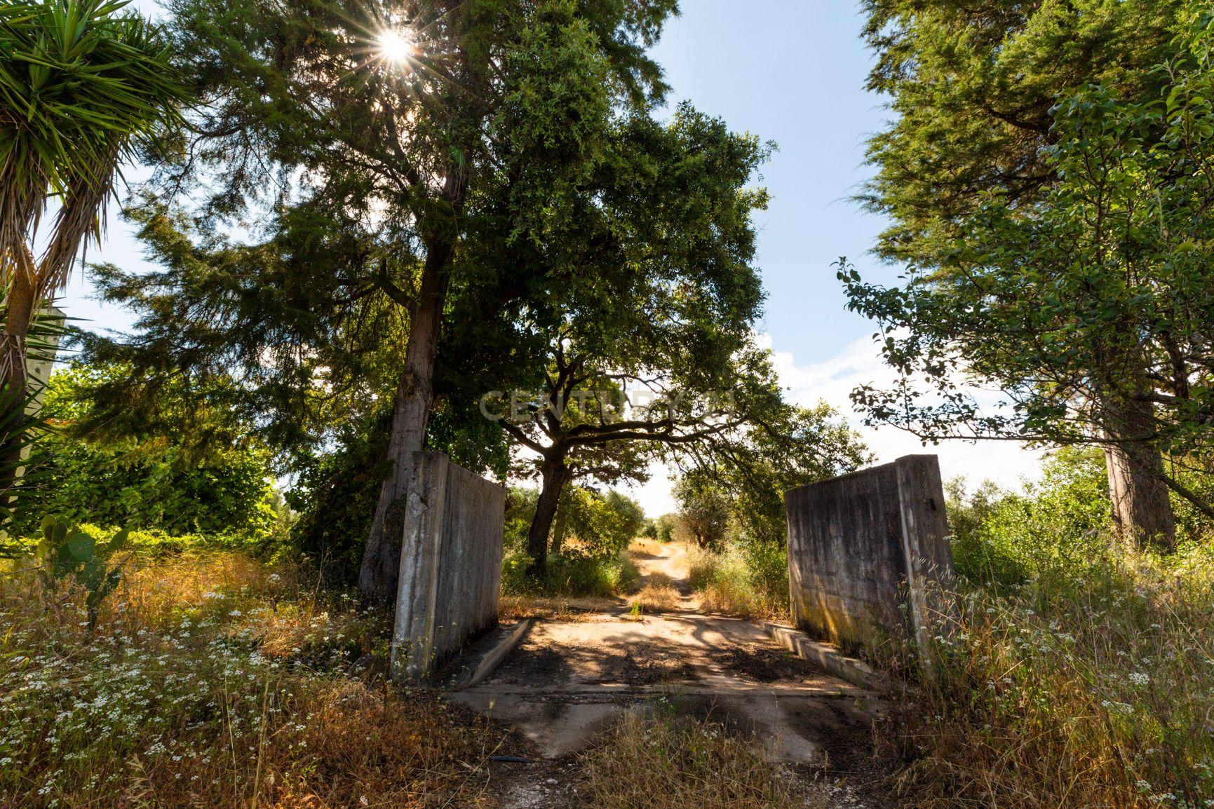 Quinta em Tomar - Image 5