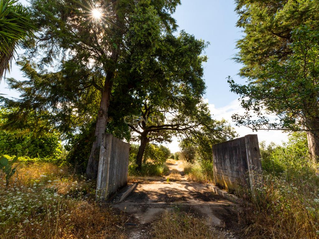 Quinta em Tomar - Image 5