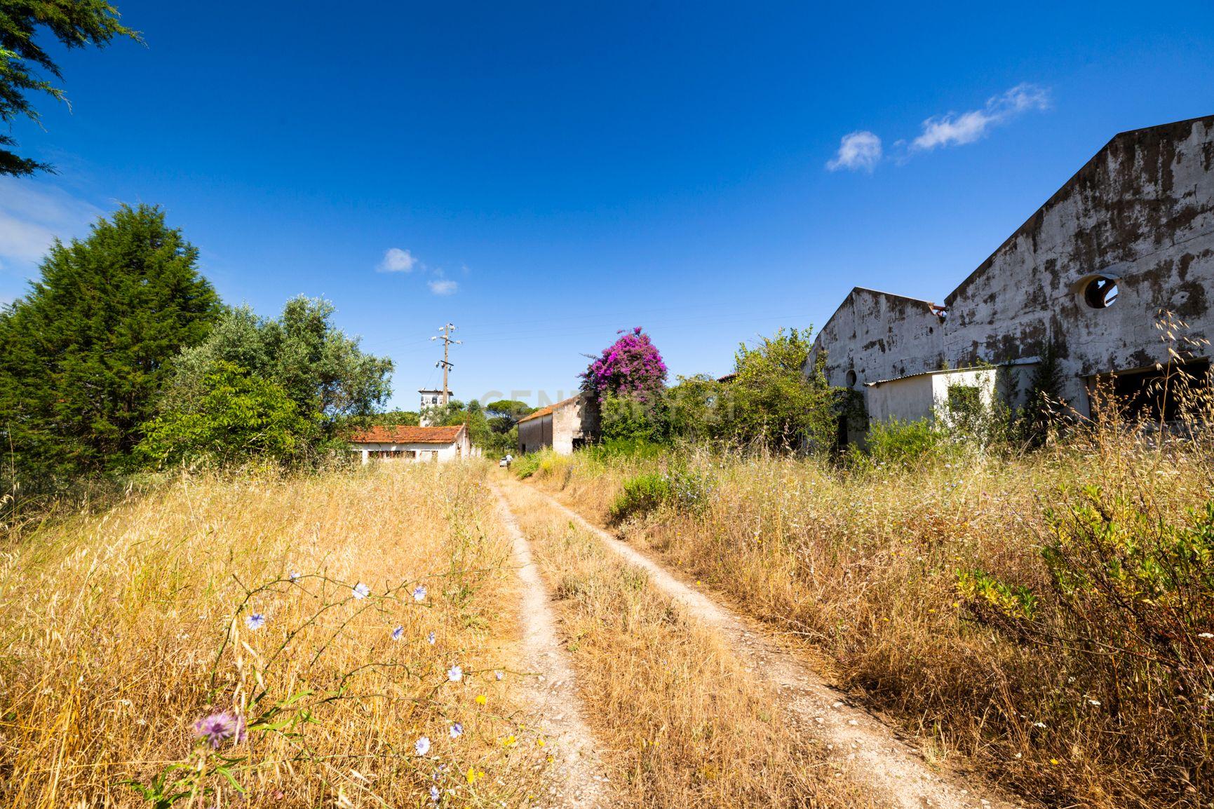 Quinta em Tomar - Image 26