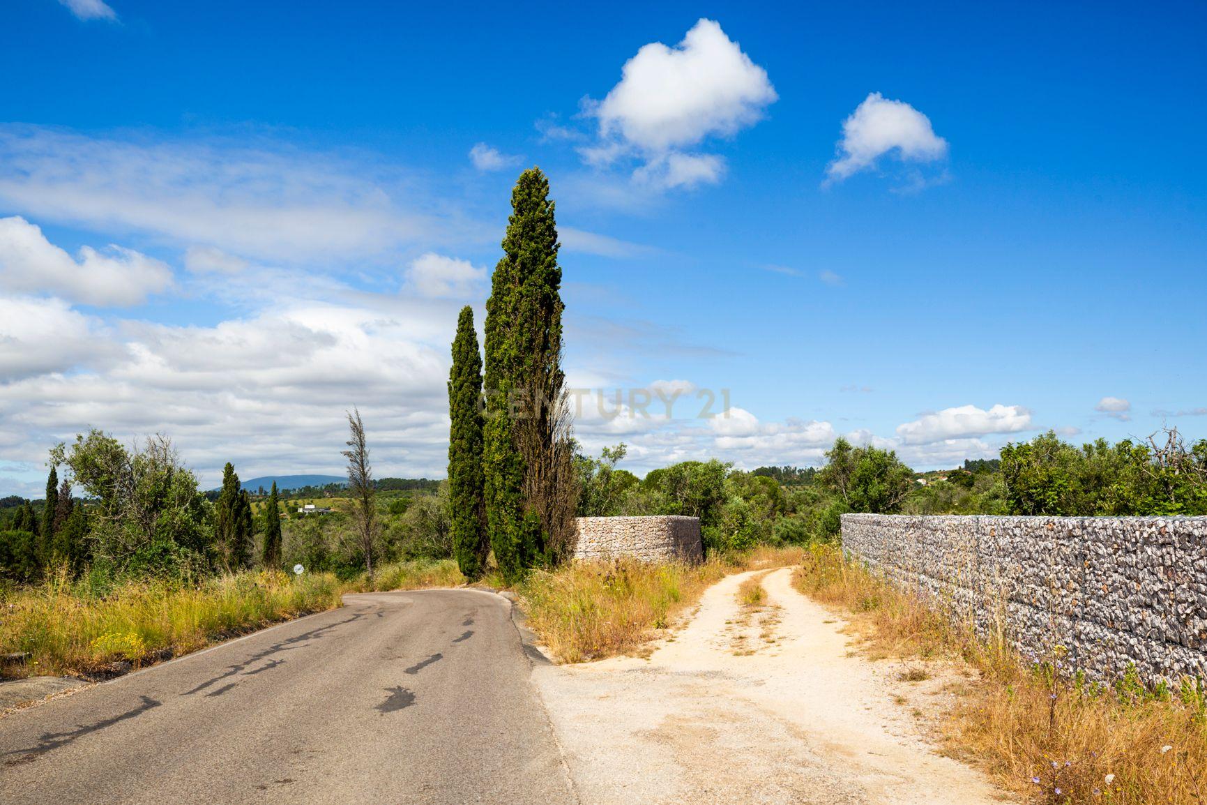 Quinta em Tomar - Image 15