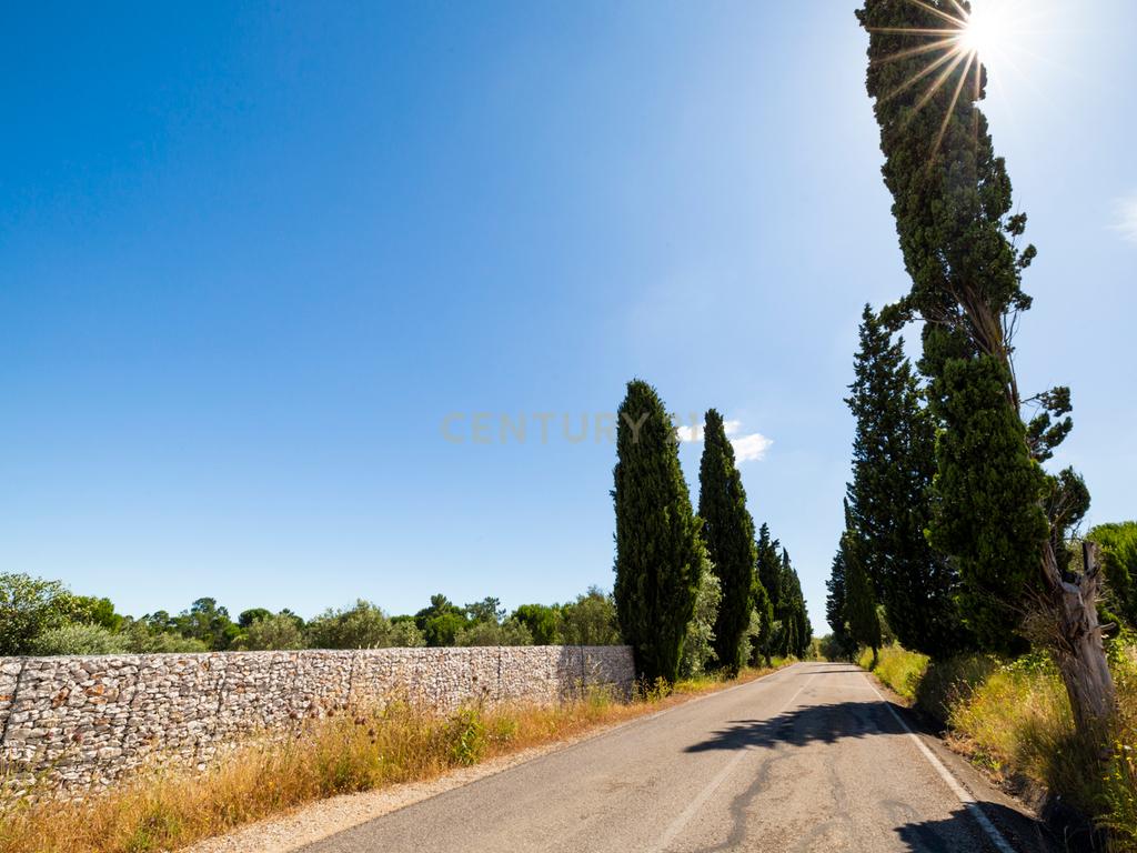Quinta em Tomar - Image 24