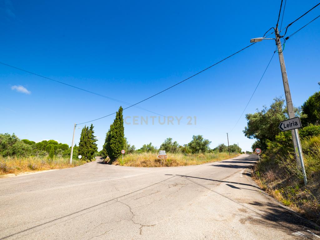 Quinta em Tomar - Image 27