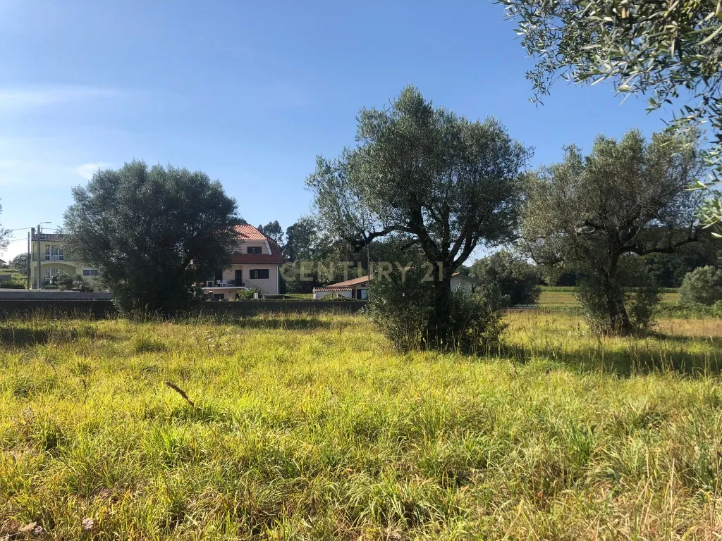 Lote de terreno de Construção com 872.5m2 Forjães-Esposende - Image 7