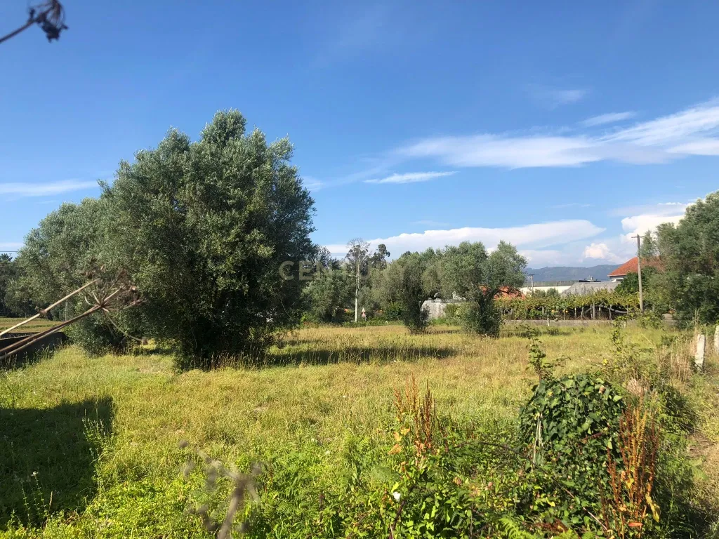 Lote de terreno de Construção com 872.5m2 Forjães-Esposende - Image 2