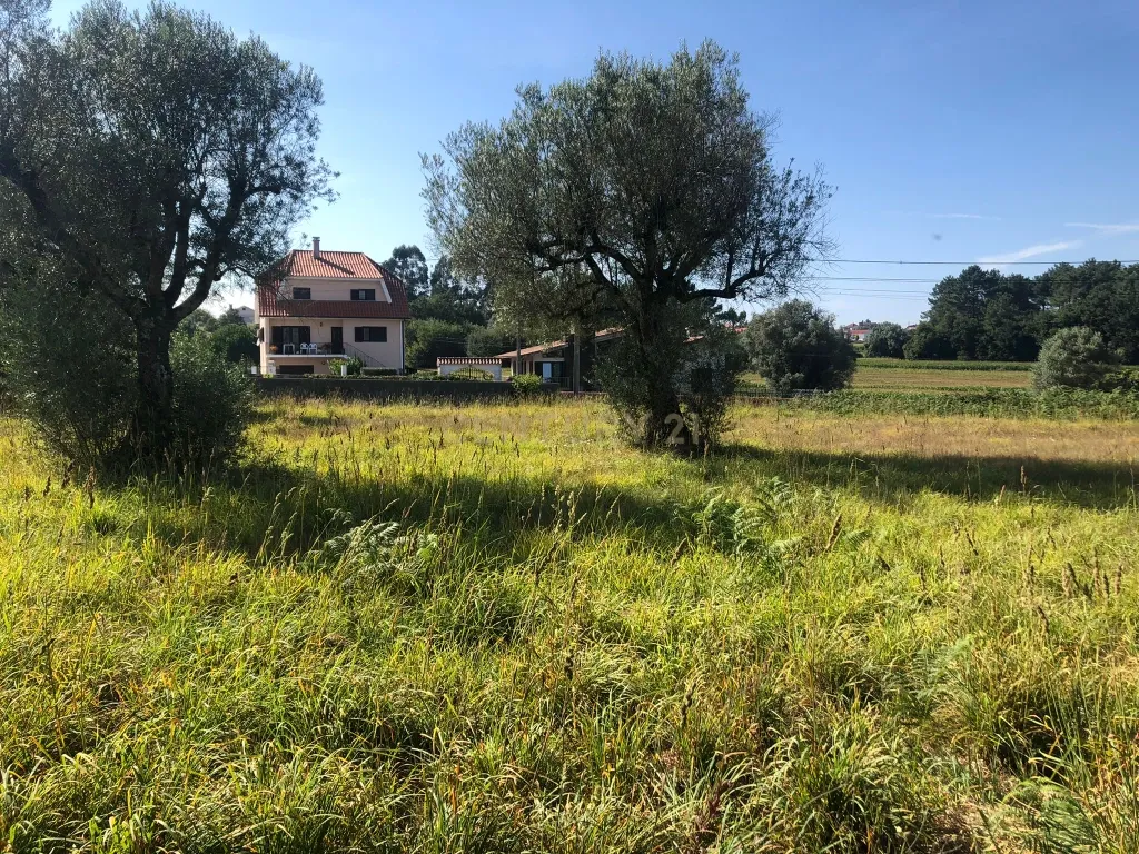 Lote de terreno de Construção com 872.5m2 Forjães-Esposende - Image 8
